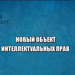 интеллектуальное право юристы петроконсалт