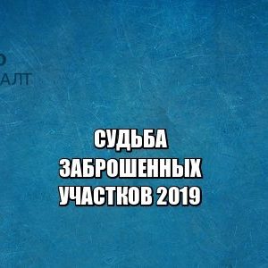 заброшенные участки, дачные участки, юристы петроконсалт