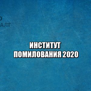 помилование рф, прошение о помиловании, ходатайство о помиловании, юристы петроконсалт