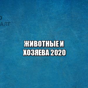 контактные зоопарки запрет, бездомные животные отлов, приюты запрет смерти, дикие животные запрет, юристы петроконсалт