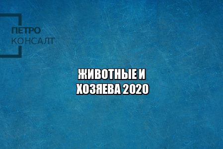 контактные зоопарки запрет, бездомные животные отлов, приюты запрет смерти, дикие животные запрет, юристы петроконсалт