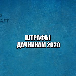 штраф за сорняки, штраф за туалет, штраф земли общего пользования, штраф пожары дача, юристы петроконсалт