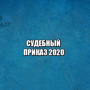 судебный приказ, должники двойники, перепутали должника, иск без движения, юристы петроконсалт