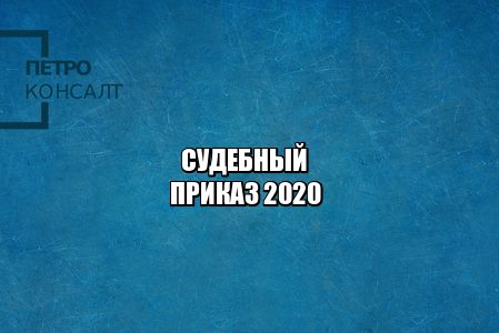 судебный приказ, должники двойники, перепутали должника, иск без движения, юристы петроконсалт