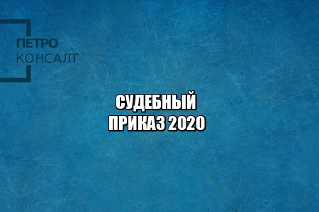 судебный приказ, должники двойники, перепутали должника, иск без движения, юристы петроконсалт