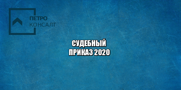 судебный приказ, должники двойники, перепутали должника, иск без движения, юристы петроконсалт