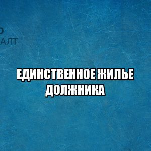 единственное жилье должника, единственное жилье взыскание, единственное жилье критерии, кредиторы и единственное жилье, юристы петроконсалт