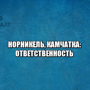 норникель штраф, норникель ответственность, камчатка ответственность, камчатка что произошло, тихий океан что произошло, тихий океан ответственность, юристы петроконсалт