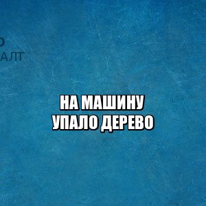 на машину упало дерево, упало дерево управляющая компания, ущерб автомобиля дерево, ущерб автомобиля вина управляющей, юристы петроконсалт