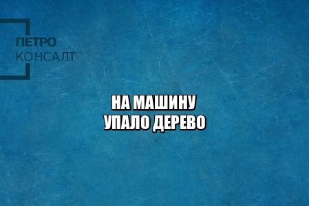 на машину упало дерево, упало дерево управляющая компания, ущерб автомобиля дерево, ущерб автомобиля вина управляющей, юристы петроконсалт
