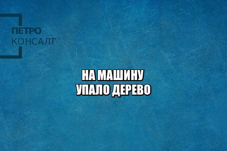 на машину упало дерево, упало дерево управляющая компания, ущерб автомобиля дерево, ущерб автомобиля вина управляющей, юристы петроконсалт