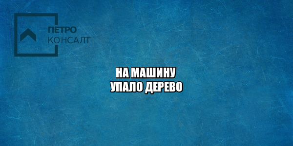 на машину упало дерево, упало дерево управляющая компания, ущерб автомобиля дерево, ущерб автомобиля вина управляющей, юристы петроконсалт